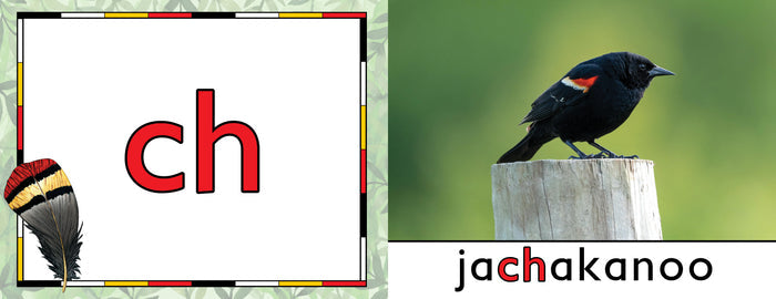Anishinaabemowin Animal Alphabet Book 1