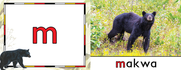 Anishinaabemowin Animal Alphabet Book 1