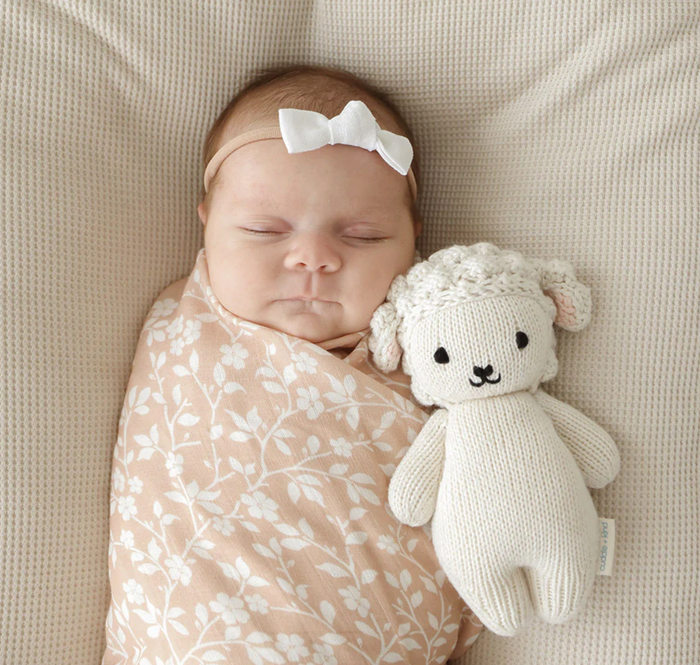 Baby Lamb