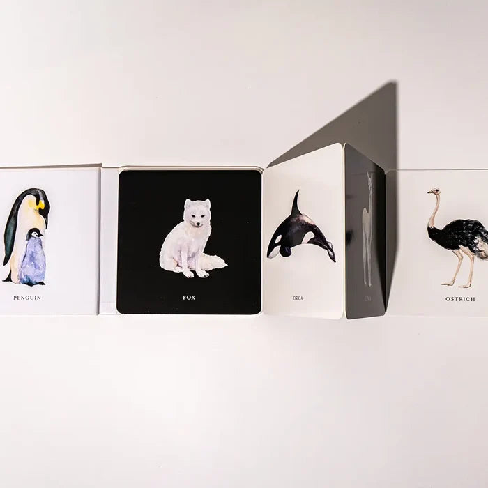 Baby's Black and White Contrast Book