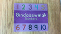 Baby's First Books : Gindaaswinak/Numbers (BD)