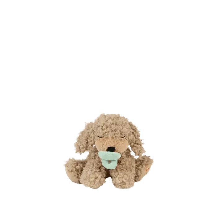 Binky Puppy - Benny