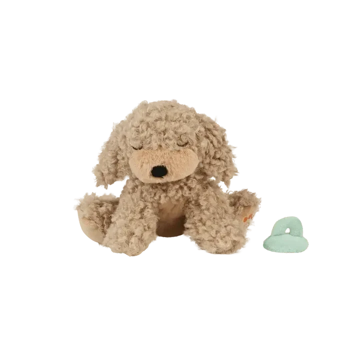 Binky Puppy - Benny