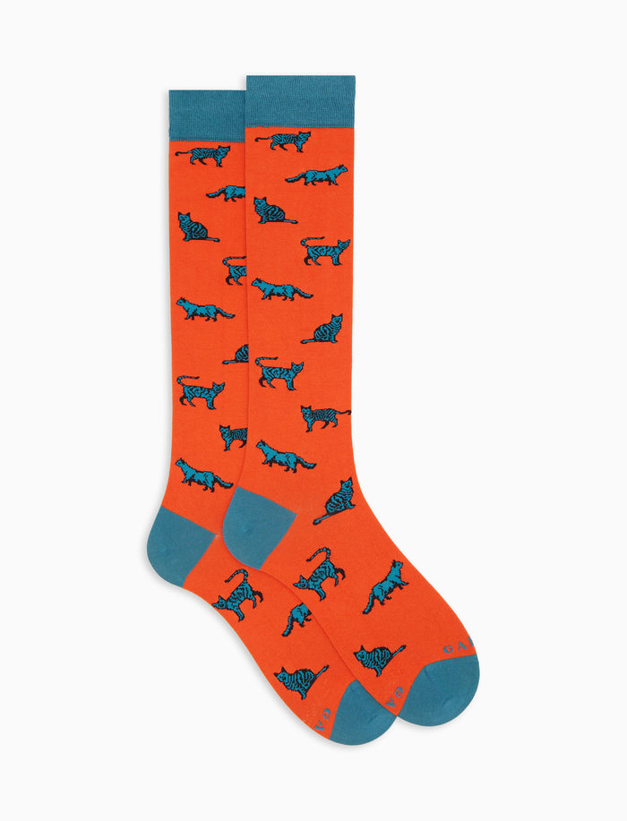 Calze lunghe donna cotone arancio fantasia gatti - Gallo 1927 - Official Online Shop