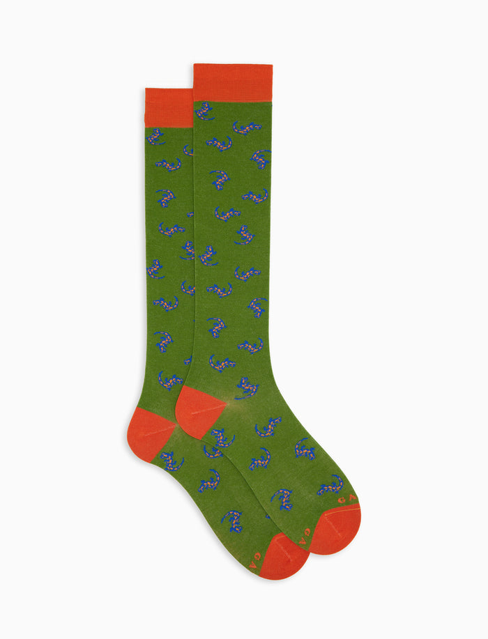 Calze lunghe donna cotone fantasia geko su fondo verde - Gallo 1927 - Official Online Shop