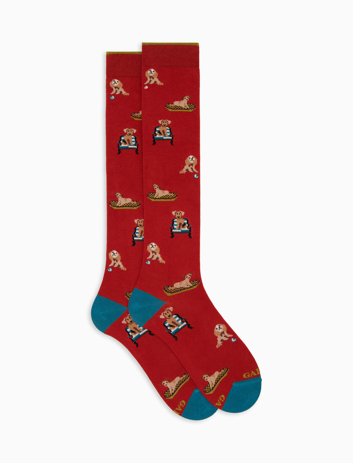 Calze lunghe uomo cotone arancio fantasia cani - Gallo 1927 - Official Online Shop