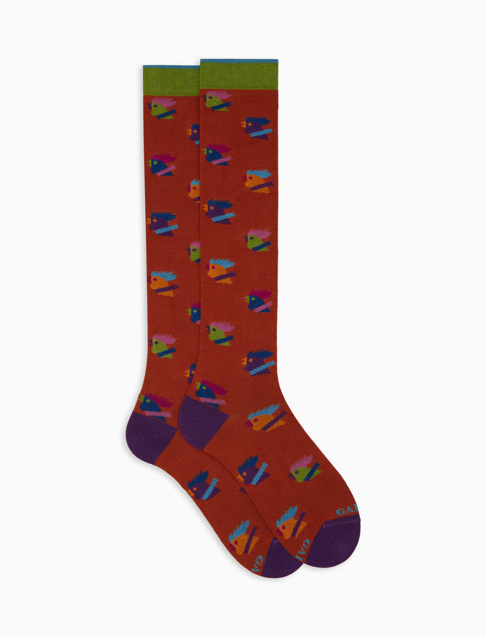 Calze lunghe uomo cotone arancio fantasia galli multicolore - Gallo 1927 - Official Online Shop
