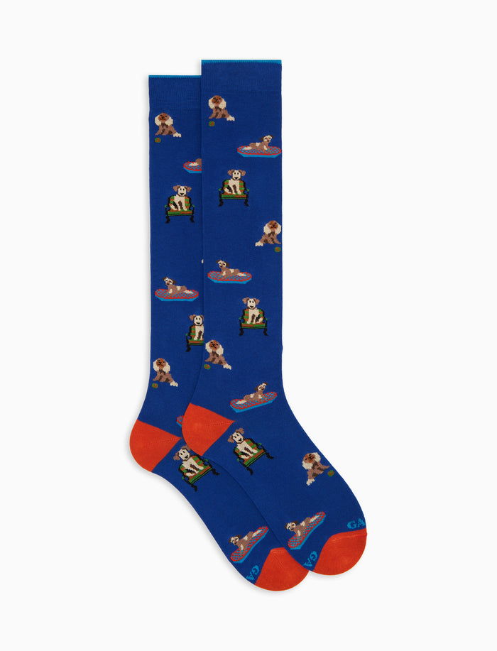Calze lunghe uomo cotone blu fantasia cani - Gallo 1927 - Official Online Shop