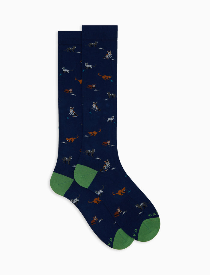 Calze lunghe uomo cotone blu fantasia gatti con topini e gomitoli - Gallo 1927 - Official Online Shop