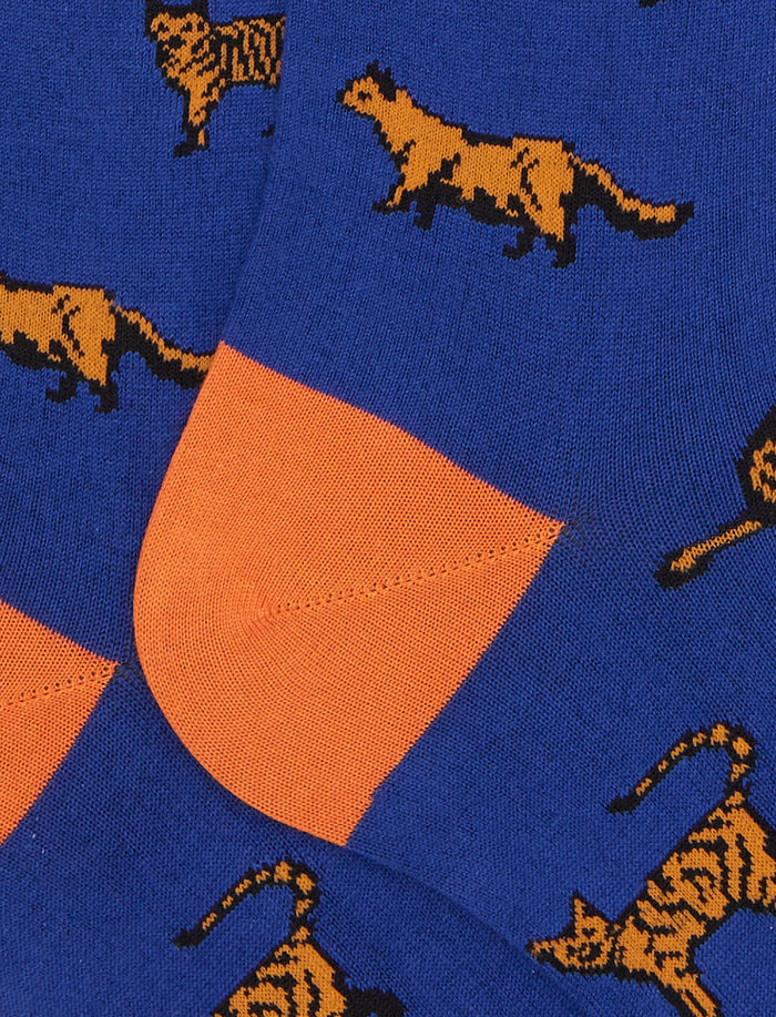 Calze lunghe uomo cotone blu fantasia gatti - Gallo 1927 - Official Online Shop