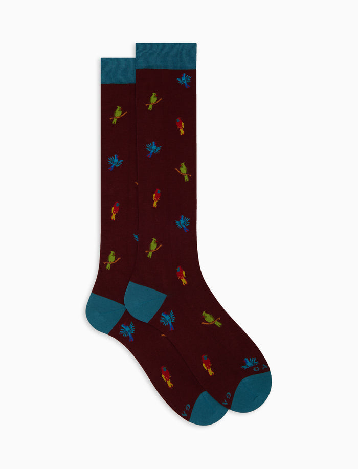 Calze lunghe uomo cotone bordò fantasia picchio - Gallo 1927 - Official Online Shop