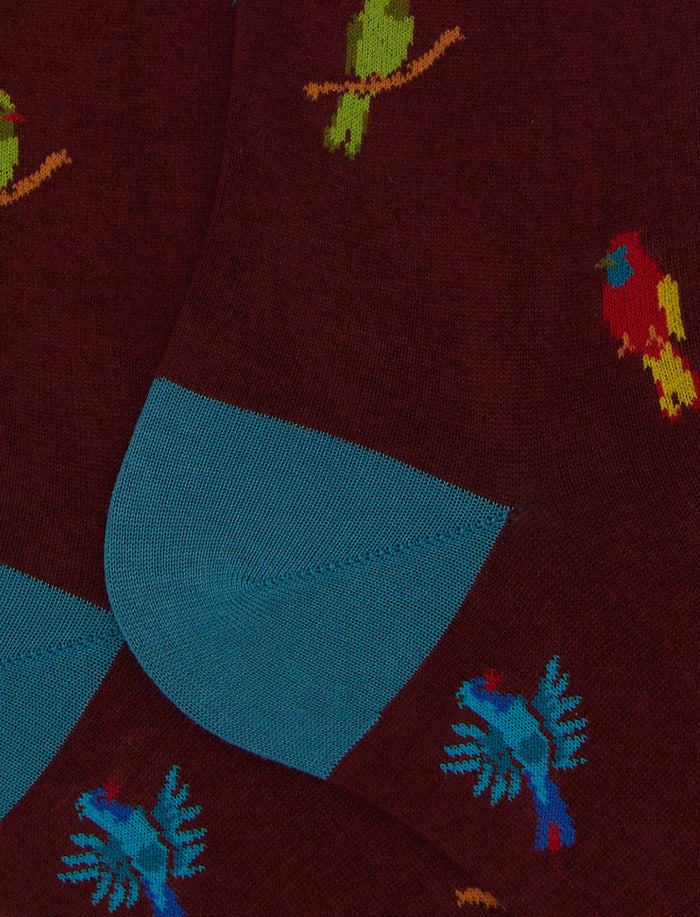 Calze lunghe uomo cotone bordò fantasia picchio - Gallo 1927 - Official Online Shop