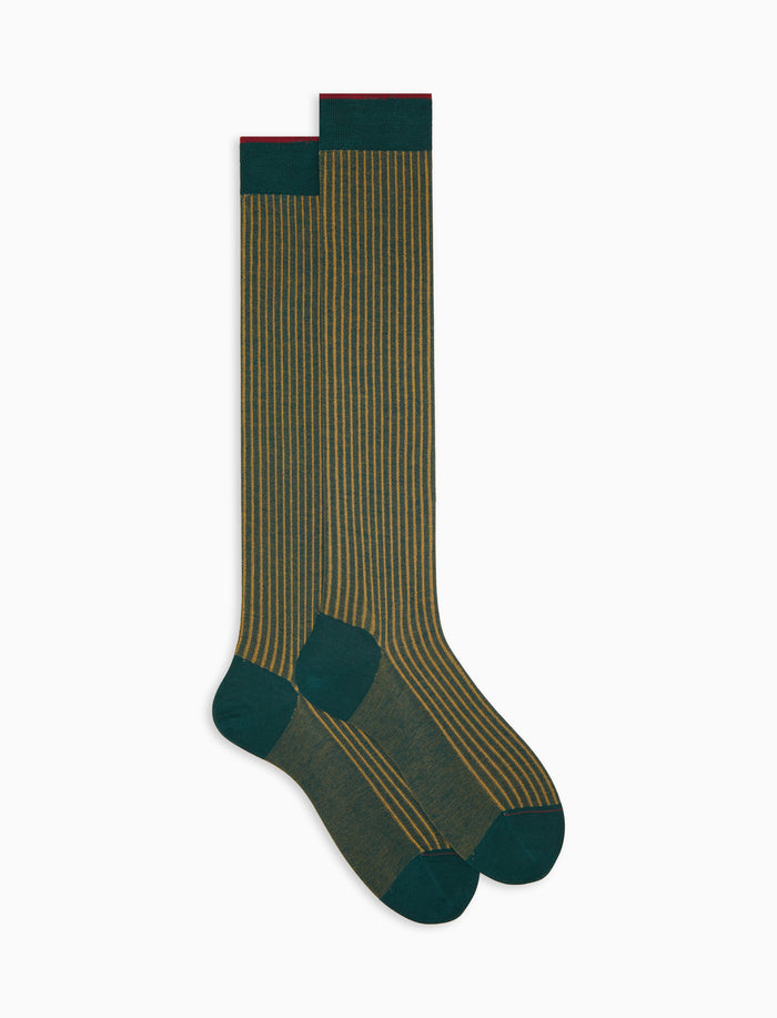 Calze lunghe uomo cotone color pavone costa vanisé