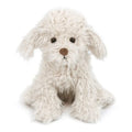 Muffin The Shaggy Puppy