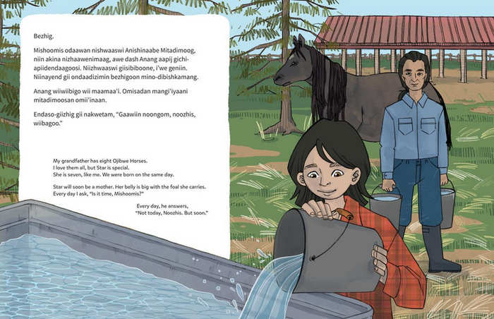 Wiijibibamatoon Anangoonan / Runs with the Stars (English & Anishinaabemowin)